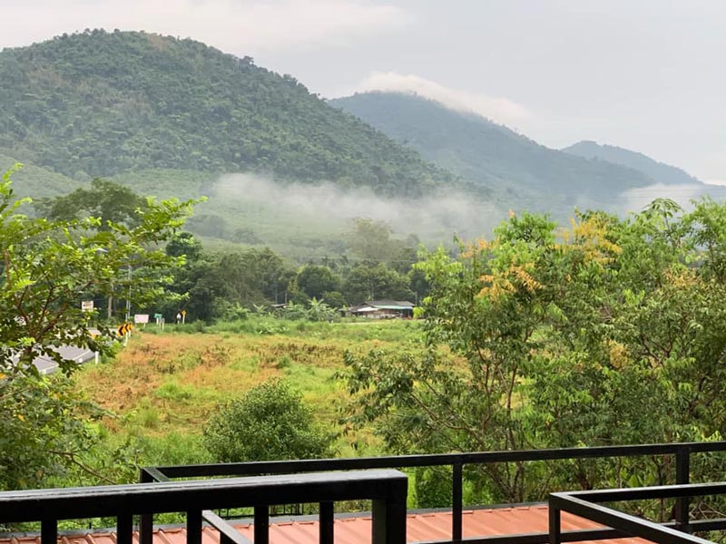 คาเฟ่ในสวนยาง