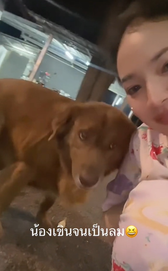 เล่นกับหมา
