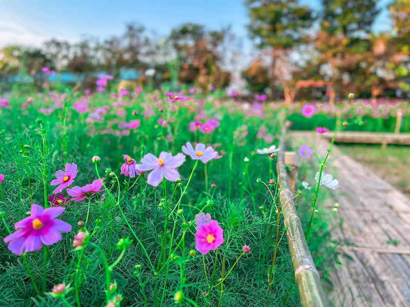 หนาวนี้ที่เมืองแกน 2569