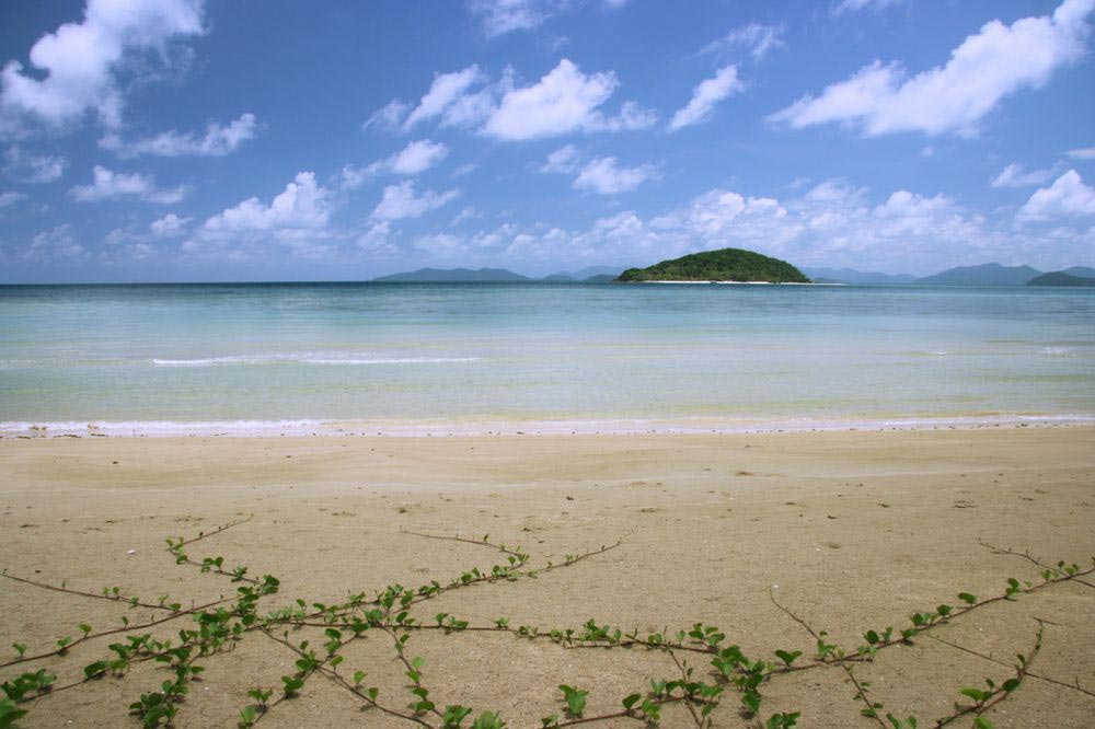 เกาะหมาก