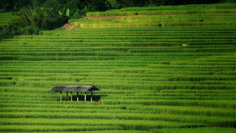 ที่เที่ยววันหยุดยาว