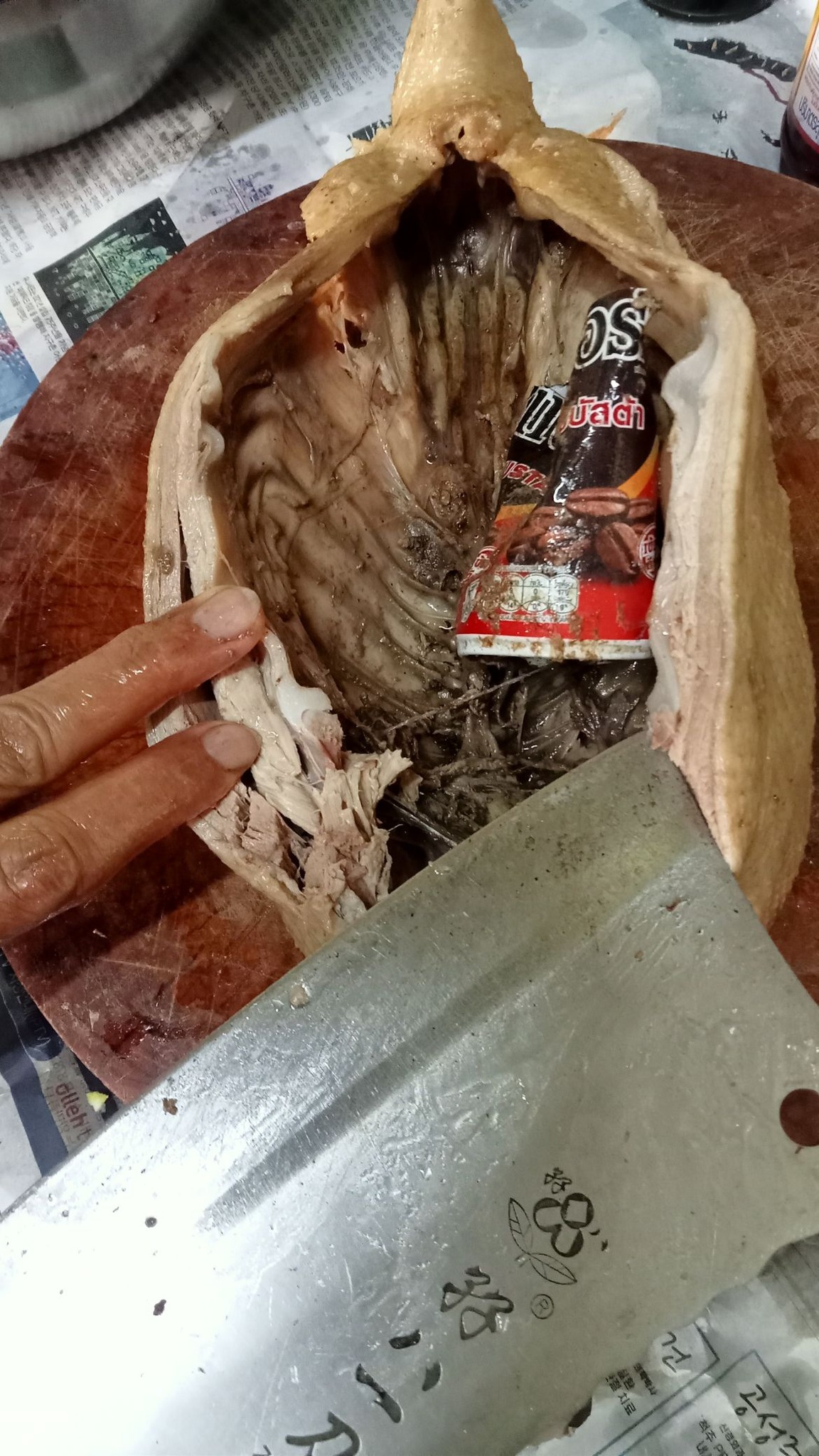 เป็ดไหว้เจ้า