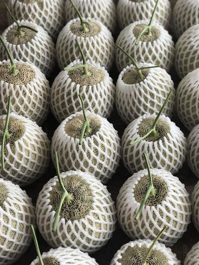 ที่เที่ยวอ่างทอง