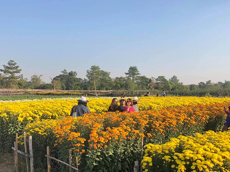 สวนดอกไม้พ่อหลวงชัชร์ เชียงใหม่