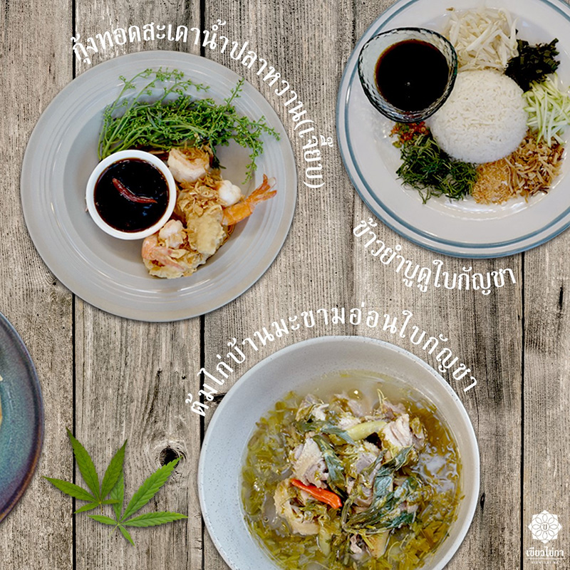 ร้านอาหารกัญชาในไทย