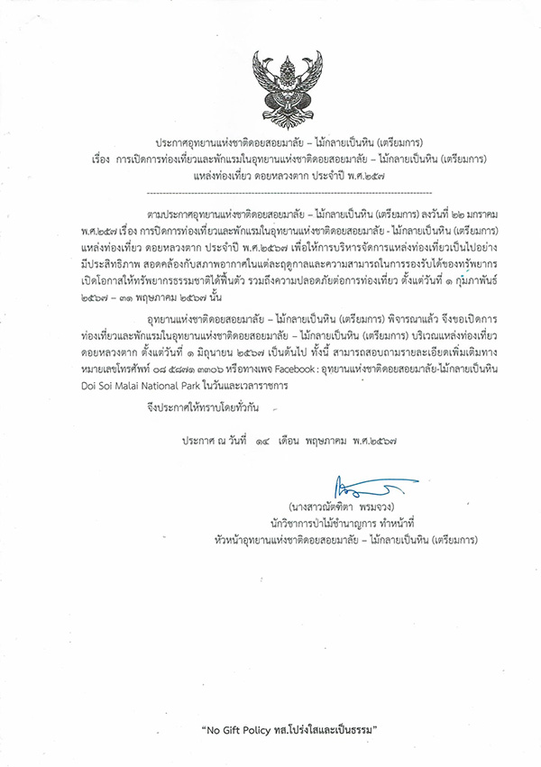 ดอยหลวงตาก 2567 เปิดช่วงไหน
