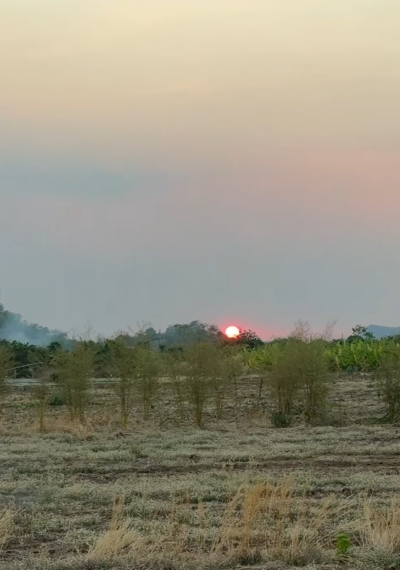 บ้านสวน โบว์ เมลดา