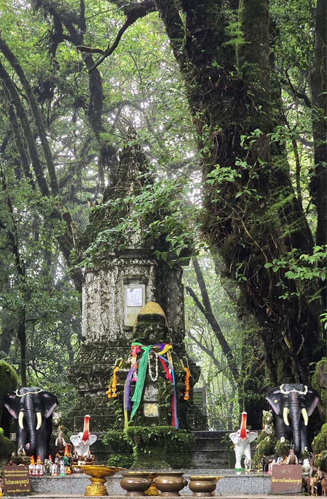 เที่ยวดอยอินทนนท์หน้าฝน