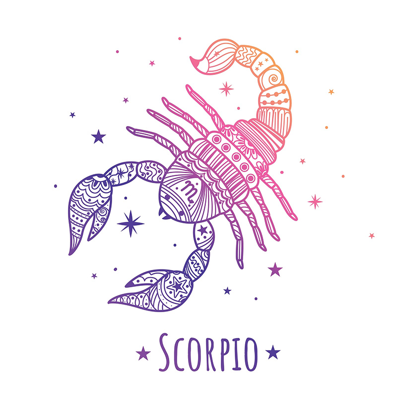 ดูดวง 2569 ราศีพิจิก