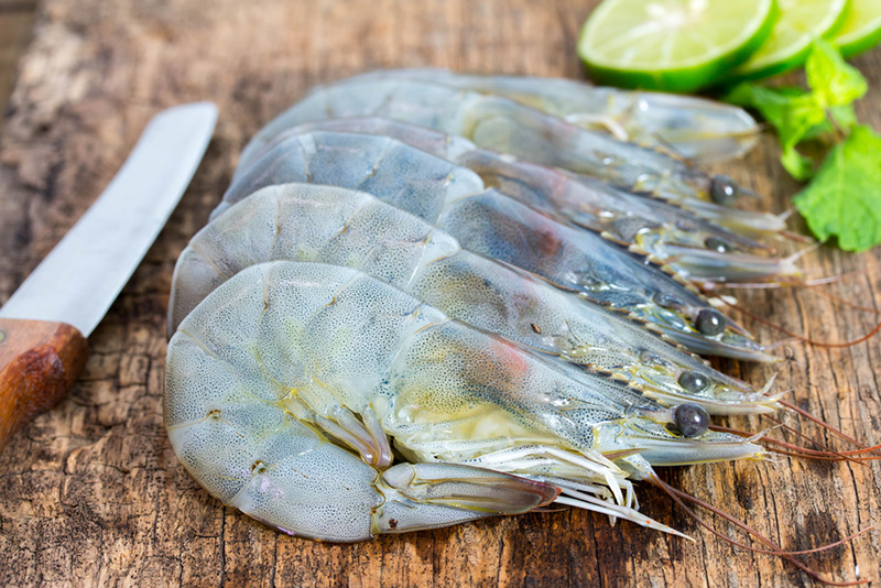 กุ้งมีกี่ชนิด