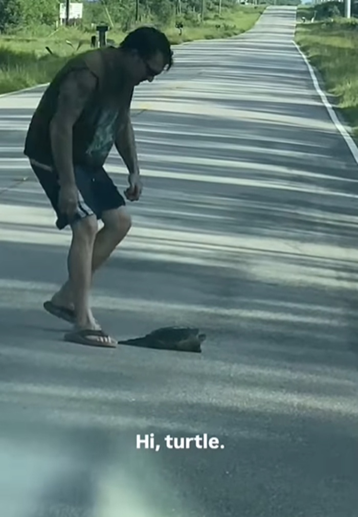 ช่วยเต่า