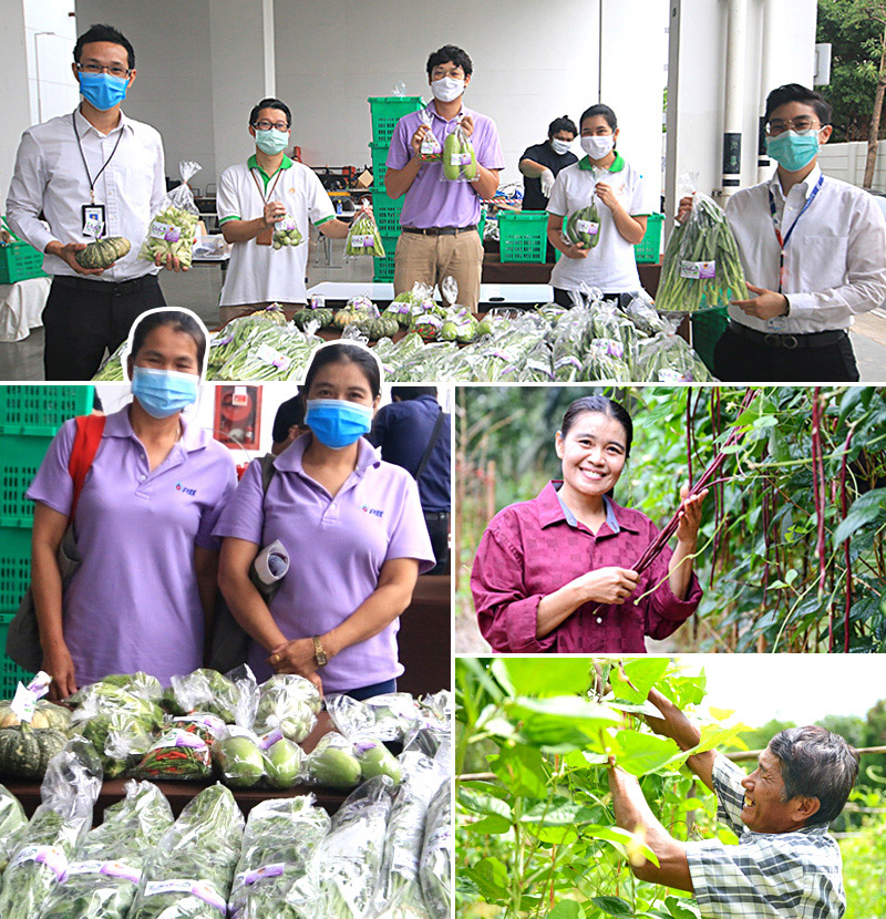 ผักวังจันทร์