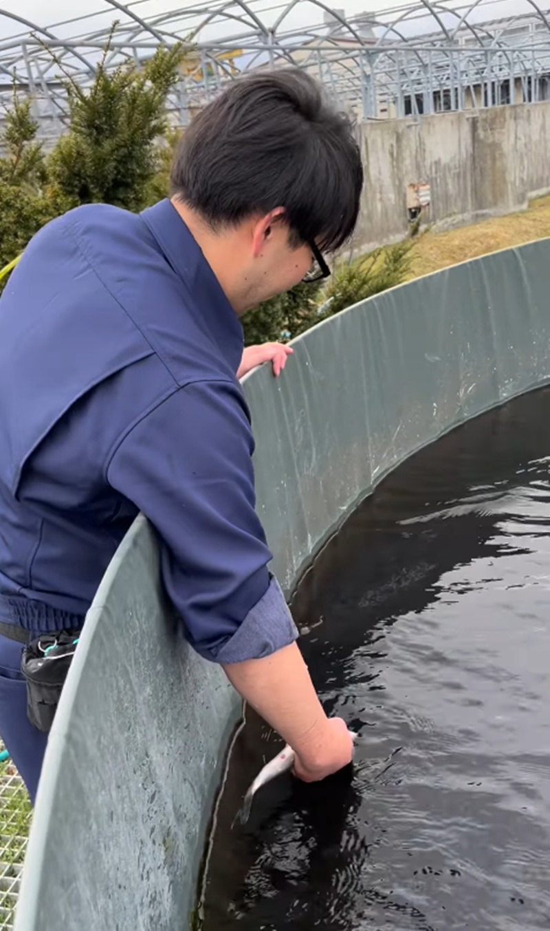 ให้อาหารปลา