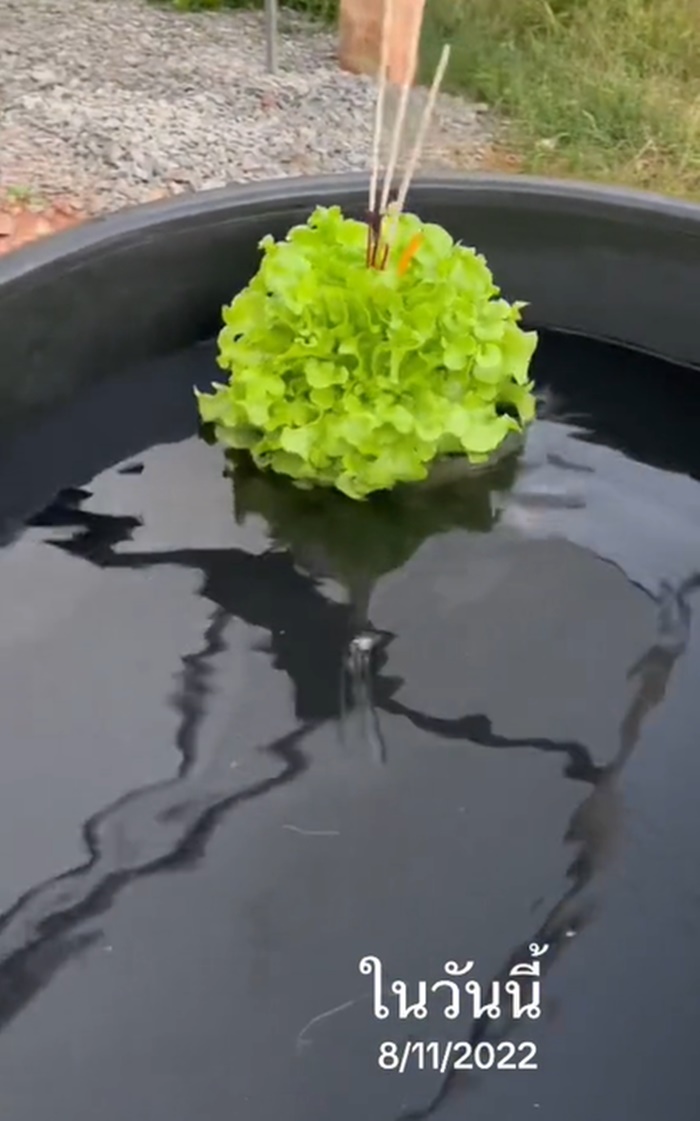 ไอเดียกระทง