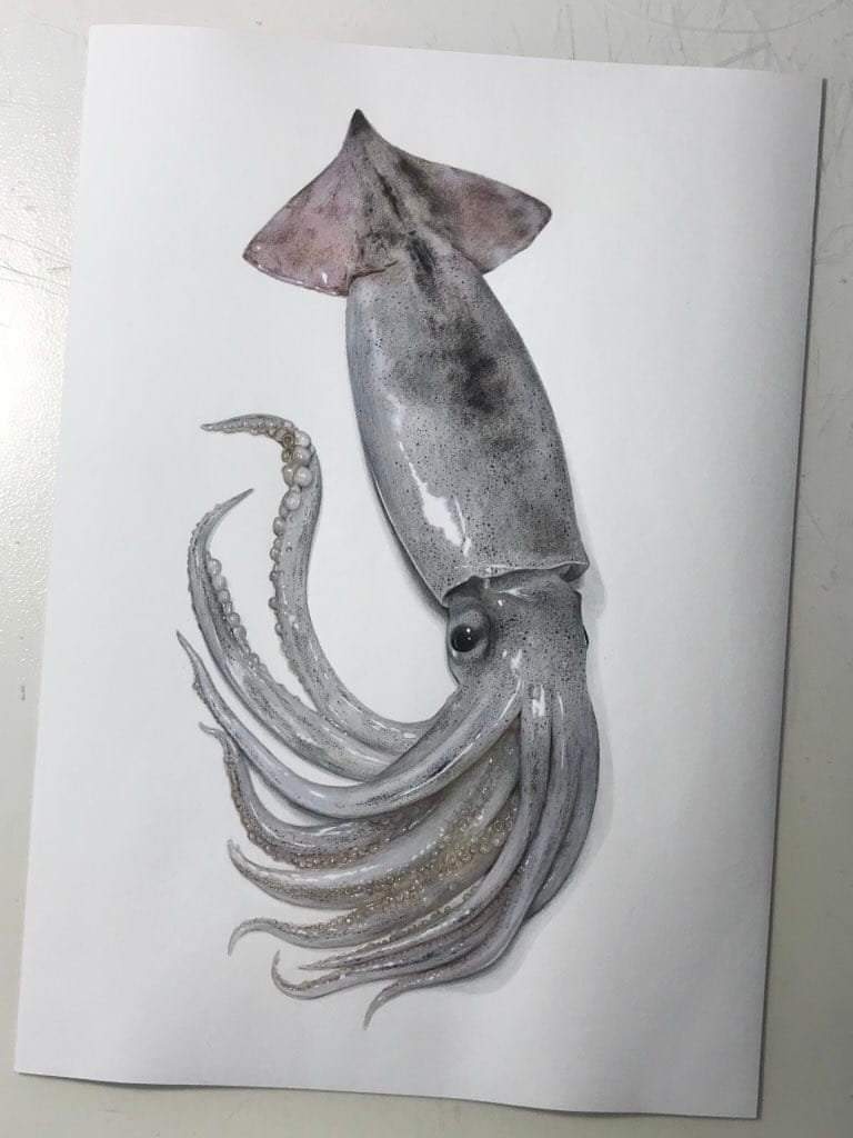 ปลาหมึก