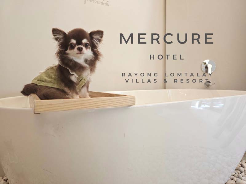 Mercure Rayong Lomtalay โรงแรมระยอง
