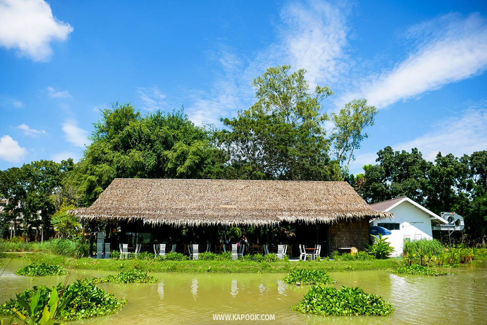 สวนเยาวพา ร้านหน้าต่างเขียว ที่เที่ยวศรีราชา