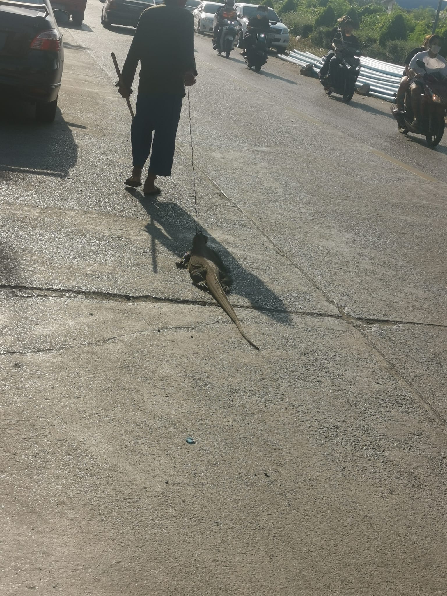 ตัวเงินตัวทอง