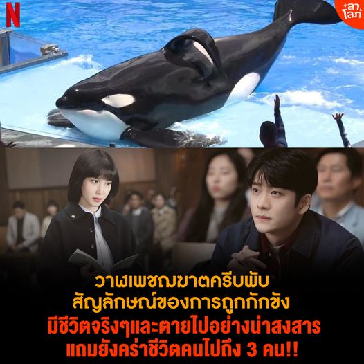 อูยองอู ทนายอัจฉริยะ