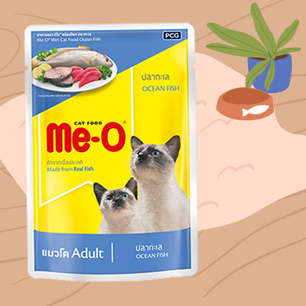 Me-O (มีโอ)