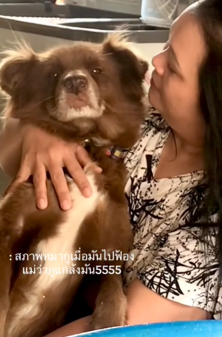 เล่นกับหมา