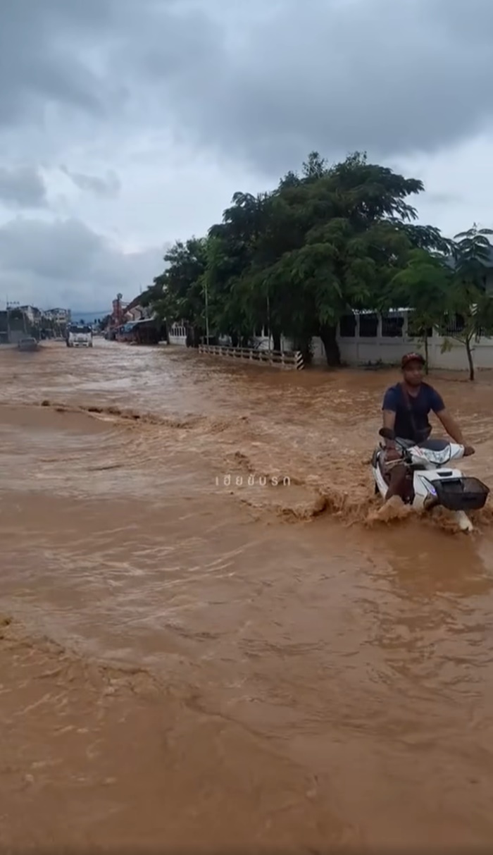 ลุยน้ำท่วม