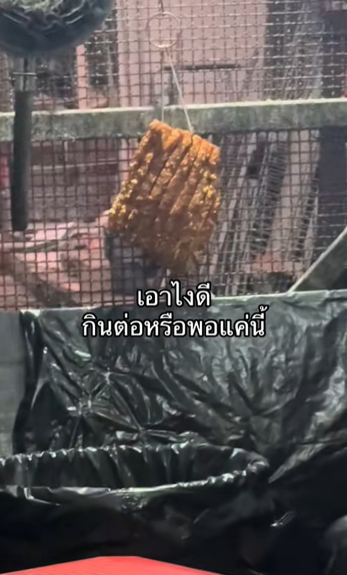 บะหมี่หมูกรอบ