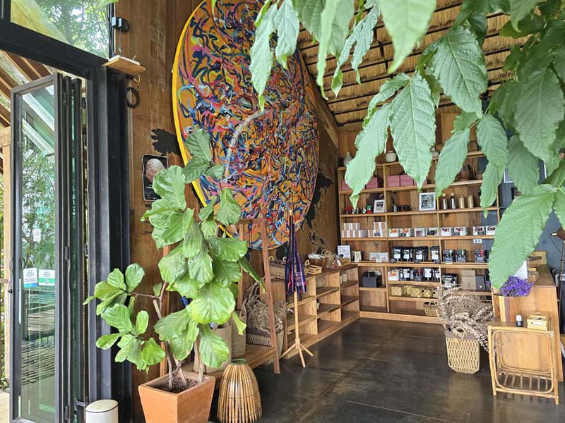 YAYO FARM ร้านกาแฟดอยช้าง จ.เชียงราย