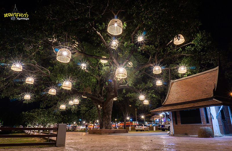 ราตรีนี้ ที่วัดไชยวัฒนาราม