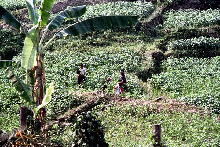 เชียงใหม่ในอดีต