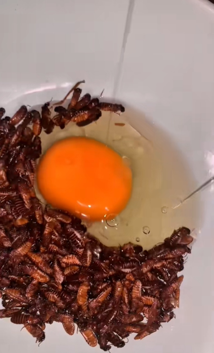 ไข่เจียว