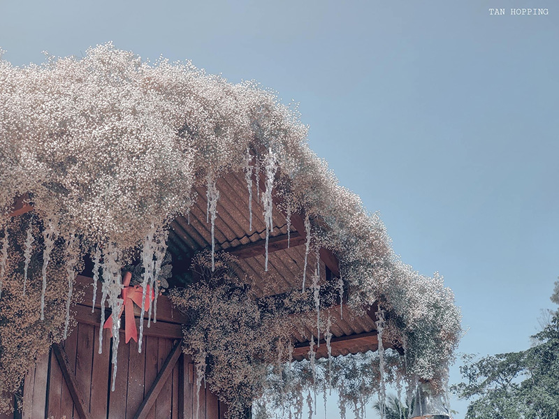 งานรักดอกราชบุรี