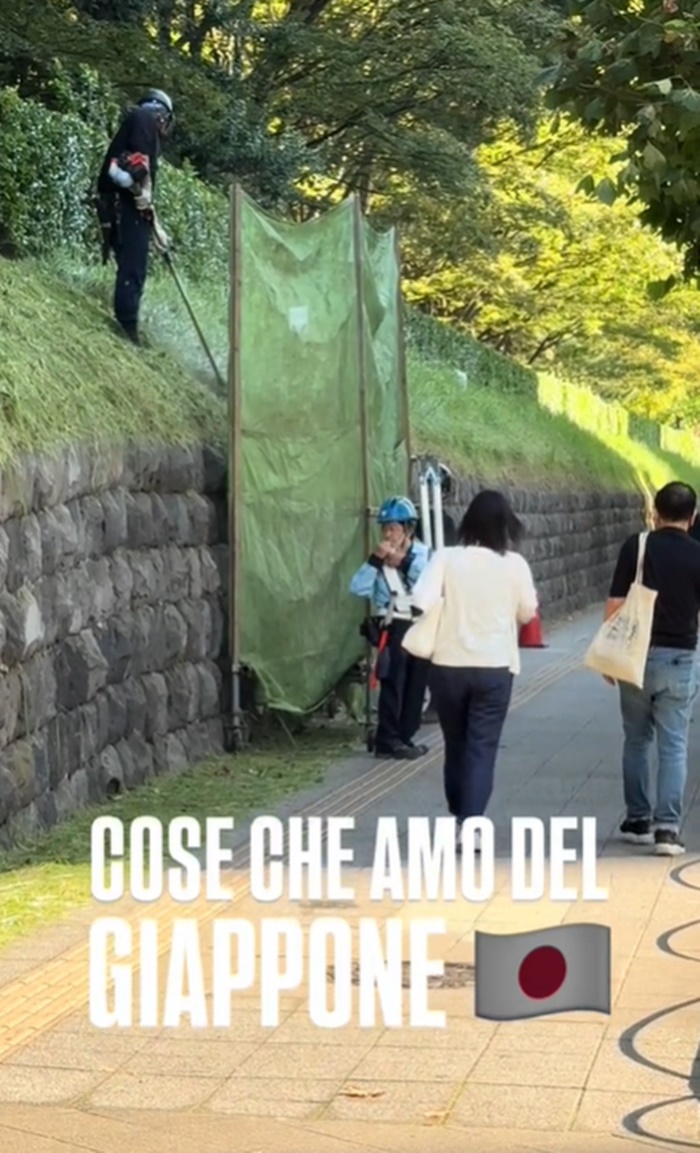 ตัดหญ้า