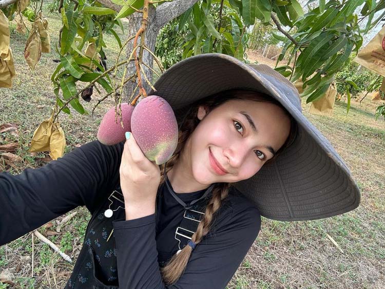 มายด์ ฑาริกา