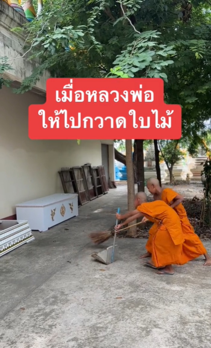 กวาดใบไม้