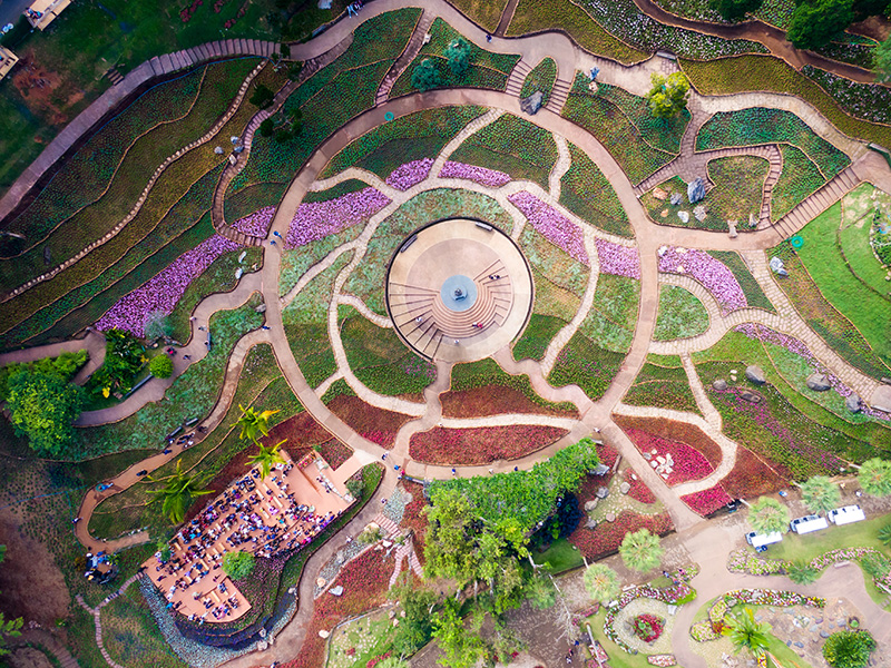 มุม Top View เทศกาลสีสันแห่งดอยตุง ครั้งที่ 10