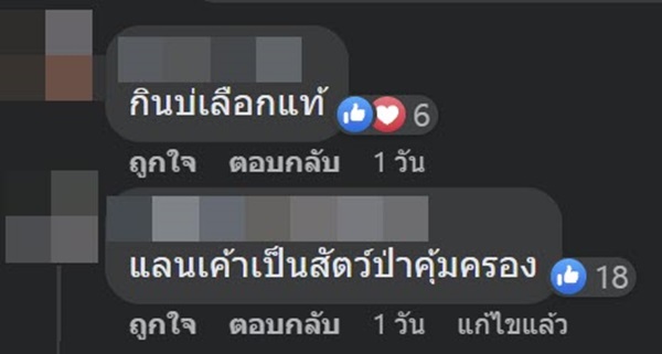 กระต่าย พรรณนิภา