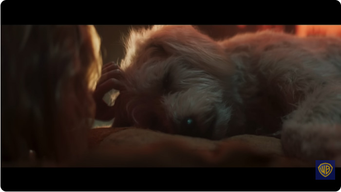 Supergirl หนังซูปเปอร์ฮีโร่ DC Studios หนังใหม่ 2026 ภาพตัวอย่าง