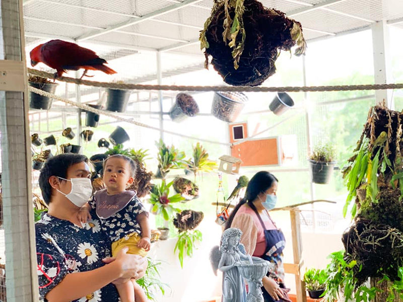 ร้านคาเฟ่สัตว์