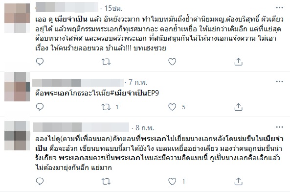 ไม้ วฤษฎิ์ เมียจำเป็น
