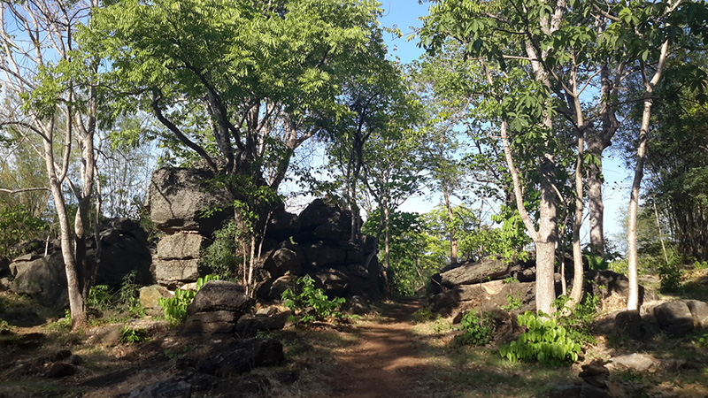 สวนหินธรรมชาติ พุหางนาค