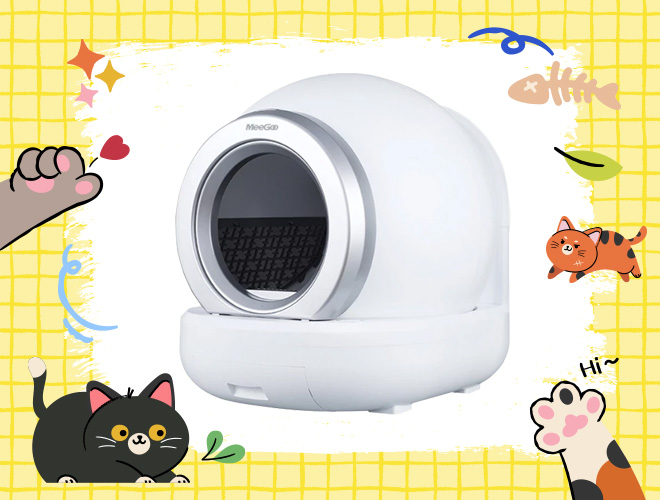 ห้องน้ำแมวอัจฉริยะ น่าซื้อ 2569