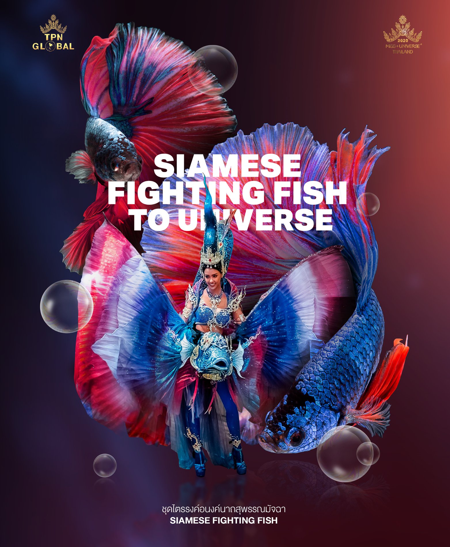 ดราม่าชุดปลากัดลาว