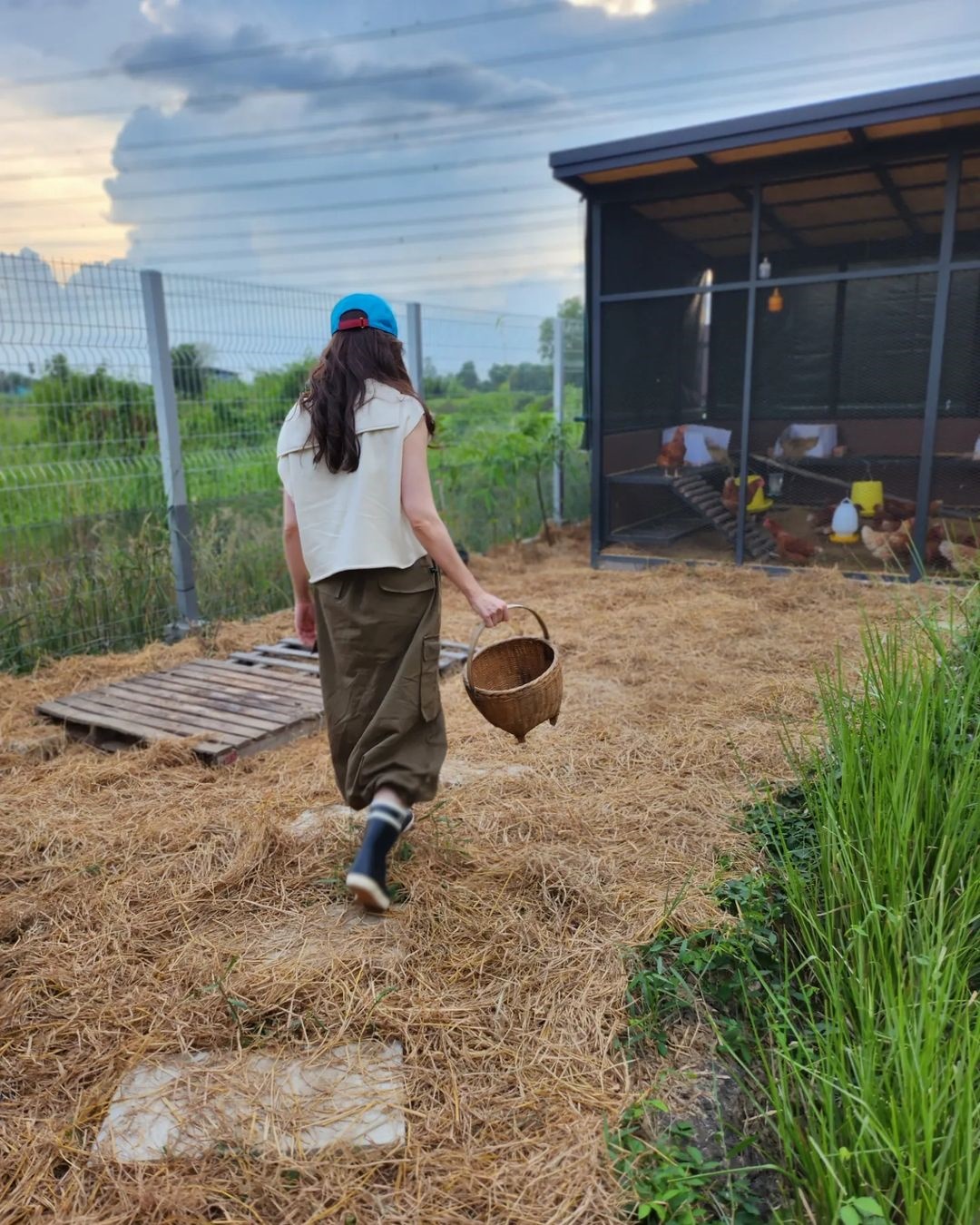 ชมพู่ อารยา