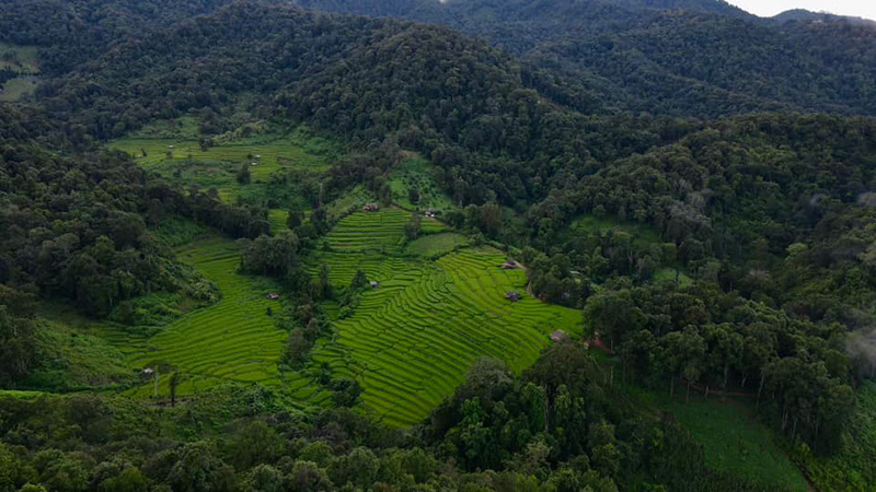 ภาพมุมสูงนาขั้นบันได บ้างปางมะโอ