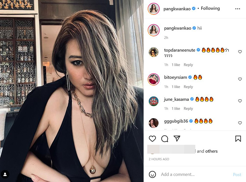 แพง ขวัญข้าว