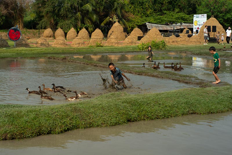 ไร่ปลูกรัก