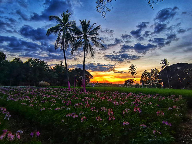 คัลเลอร์แลนด์ อุตรดิตถ์