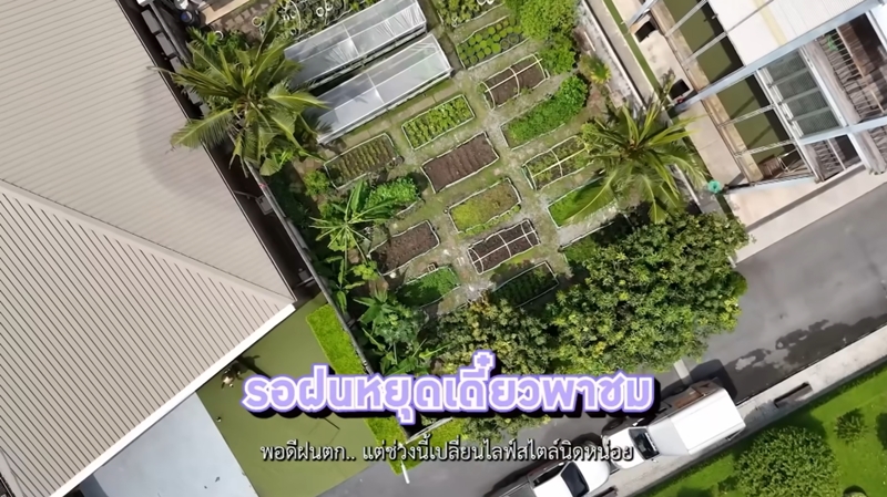 บ้าน บัวชมพู ฟอร์ด แปลงผัก
