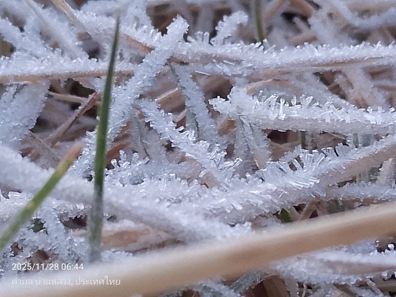 เหมยขาบ